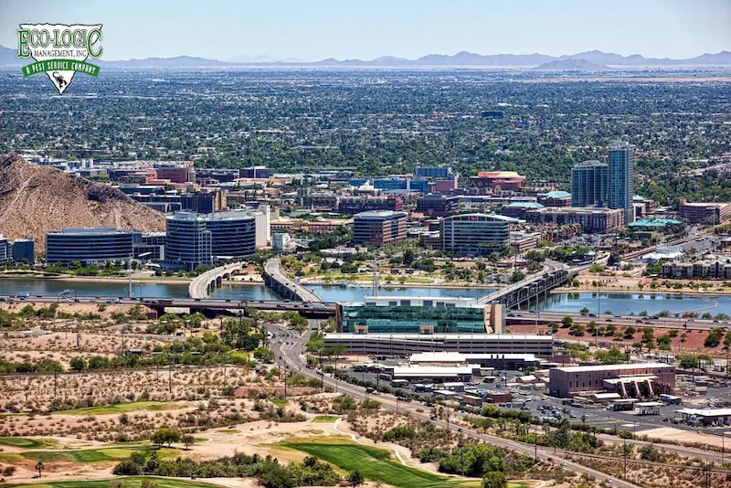 Tempe pest control service location