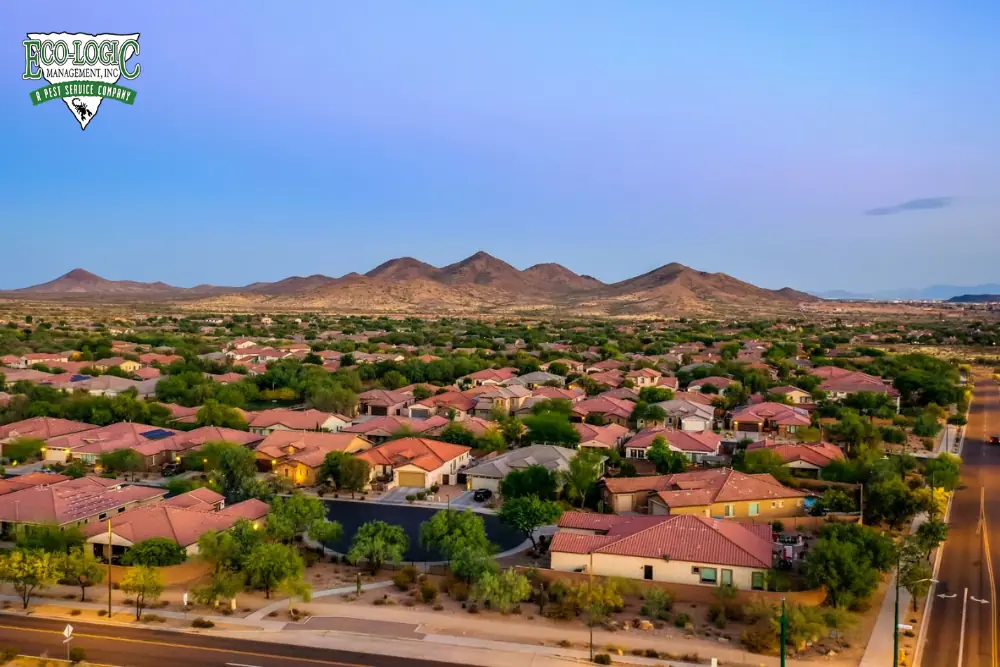 tempe pest control
