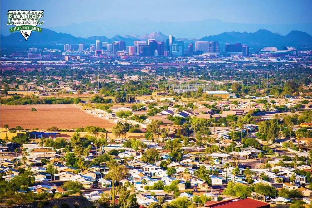 phoenix pest control
